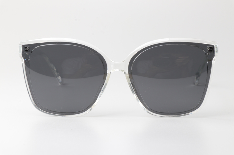 WT0326 Sunglasses Clear Gray