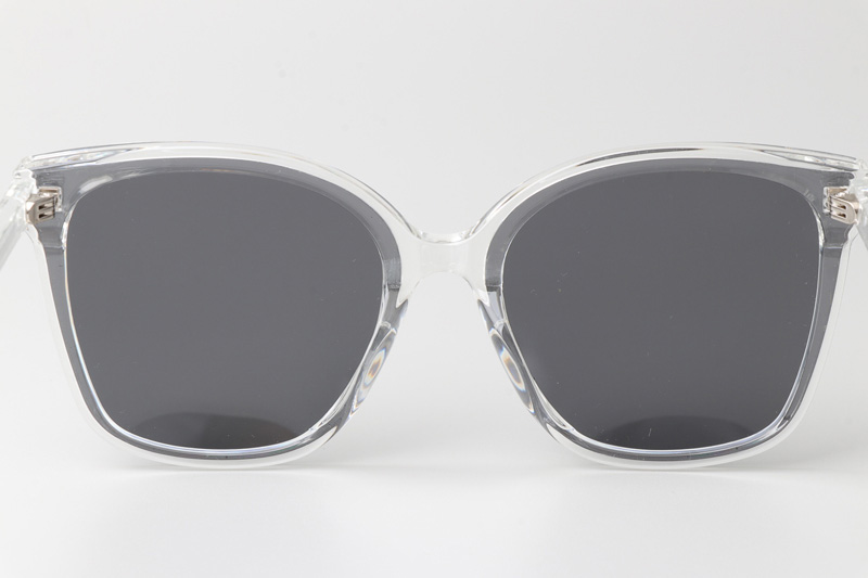 WT0326 Sunglasses Clear Gray