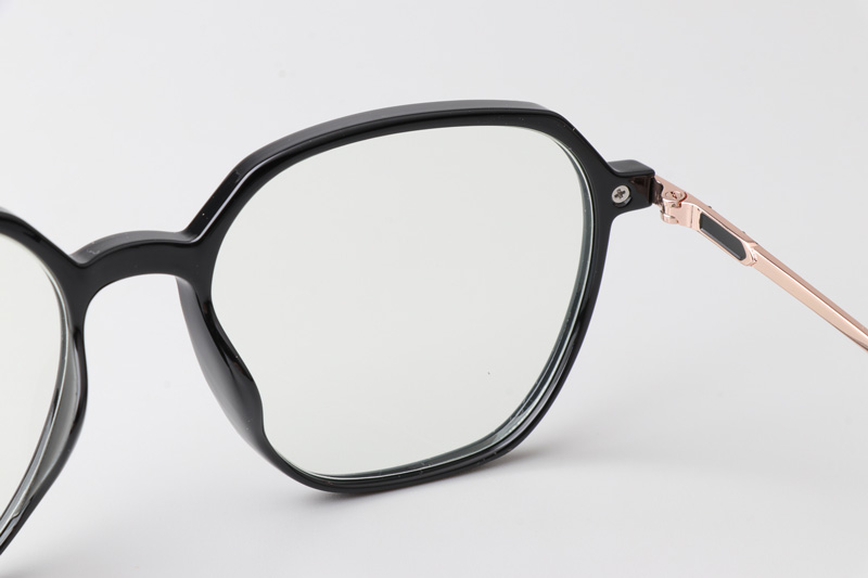 WT0805 Eyeglasses Black Gold
