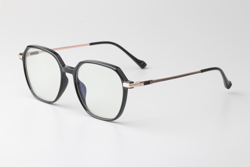 WT0805 Eyeglasses Black Gold