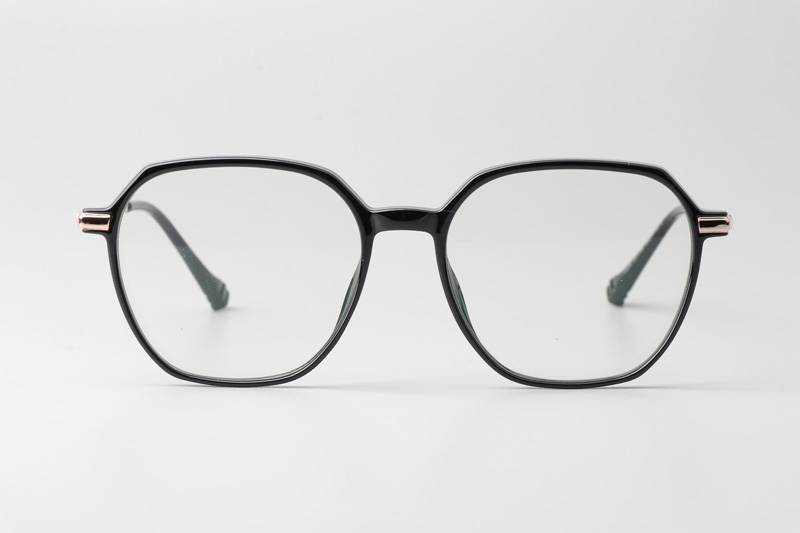 WT0805 Eyeglasses Black Gold