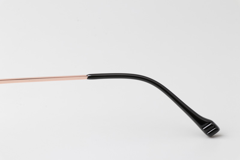 WT0805 Eyeglasses Black Gold