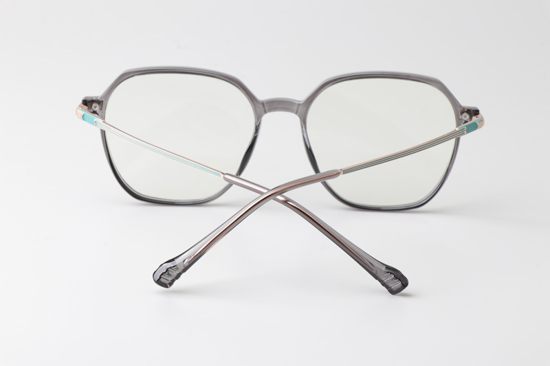 WT0805 Eyeglasses Gray Gold