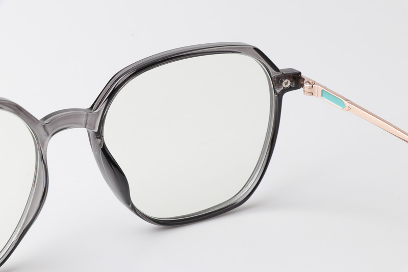 WT0805 Eyeglasses Gray Gold