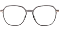 WT0805 Eyeglasses Gray Gold