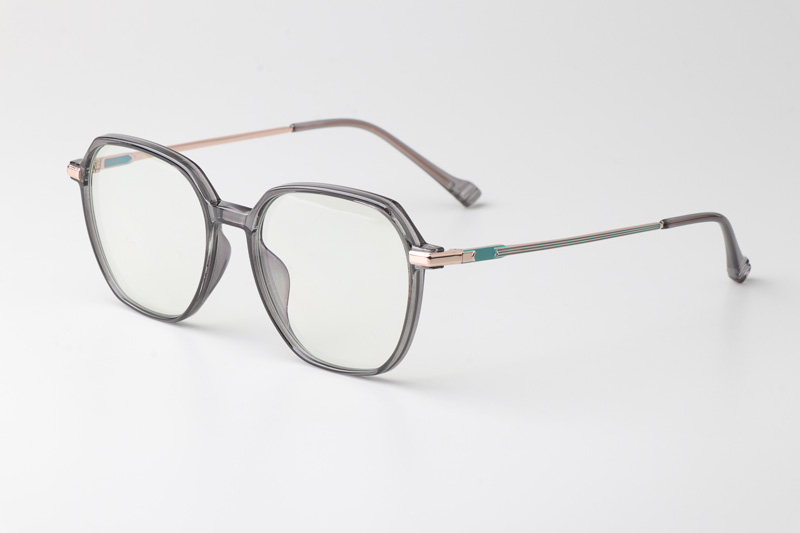 WT0805 Eyeglasses Gray Gold