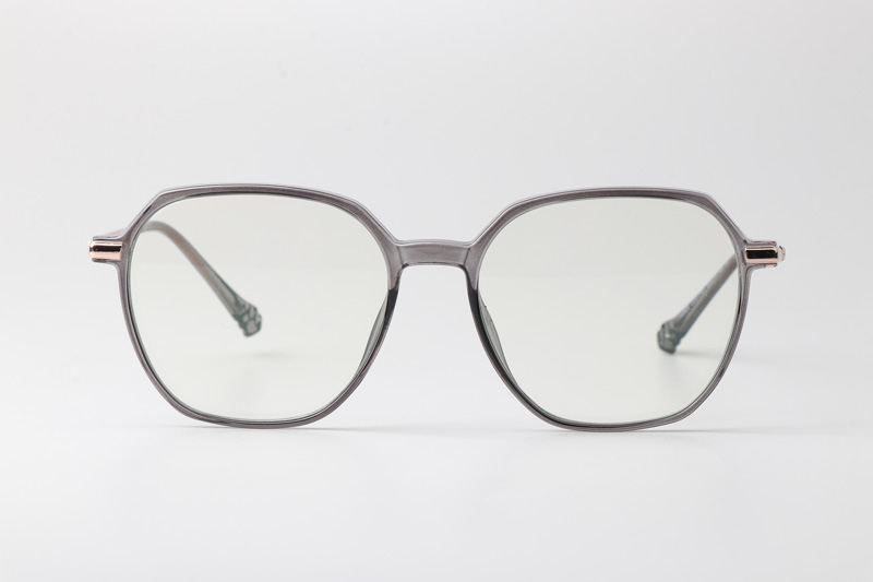 WT0805 Eyeglasses Gray Gold