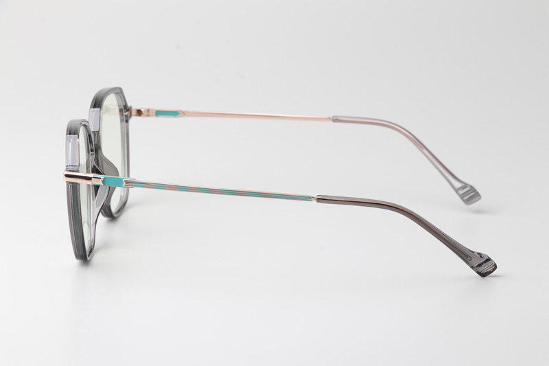 WT0805 Eyeglasses Gray Gold