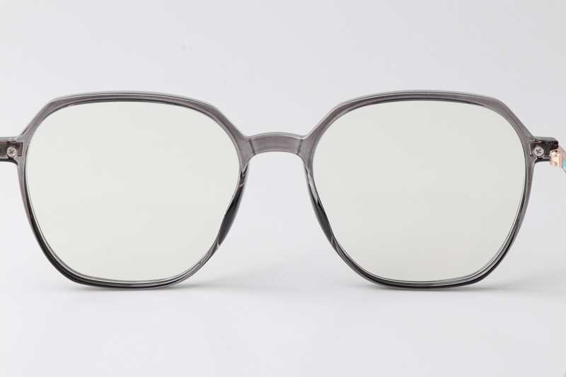 WT0805 Eyeglasses Gray Gold