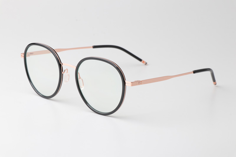 WT0819 Eyeglasses Black Rose Gold