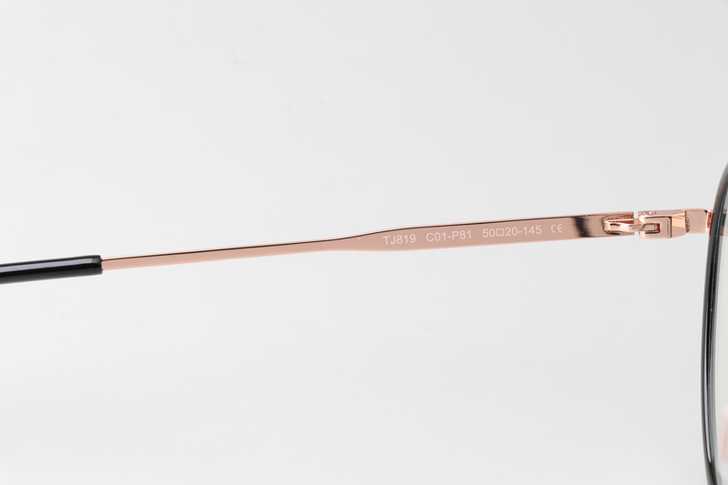 WT0819 Eyeglasses Black Rose Gold