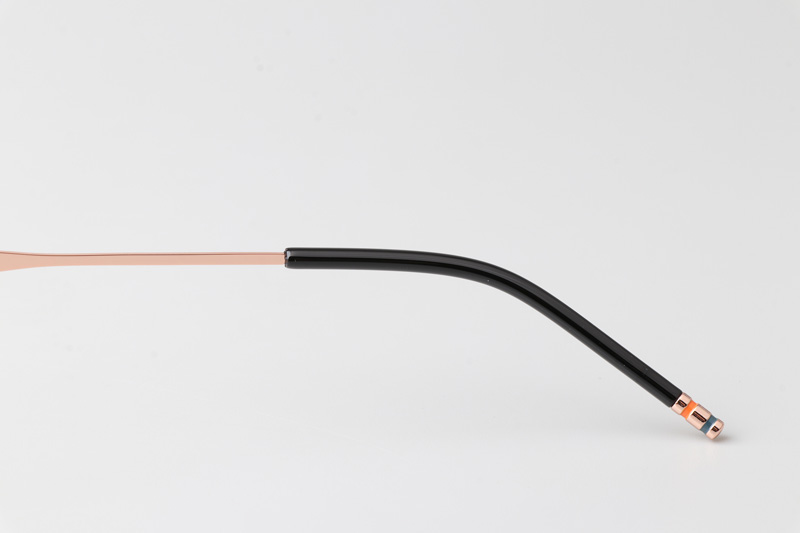 WT0821 Eyeglasses Black Rose Gold
