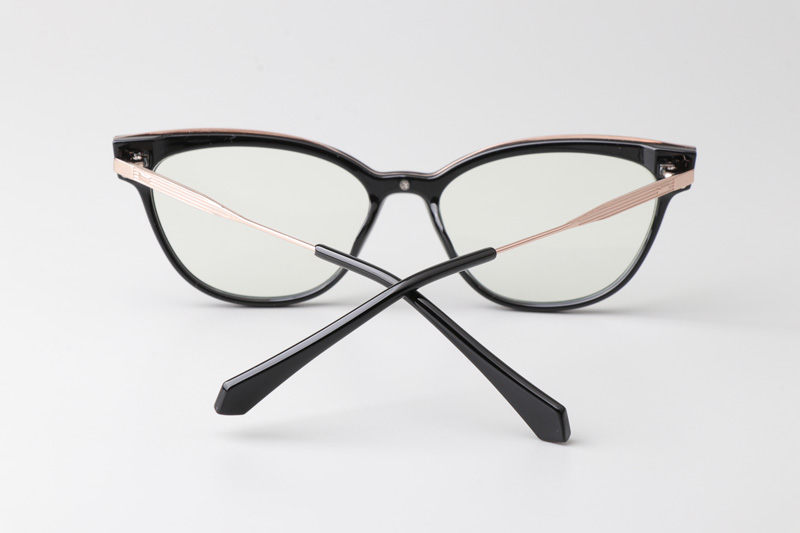WT0836 Eyeglasses Black Gold