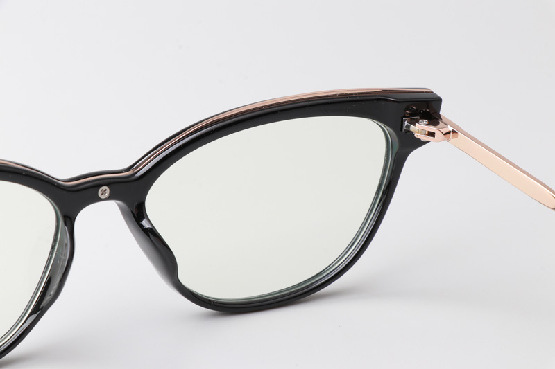 WT0836 Eyeglasses Black Gold