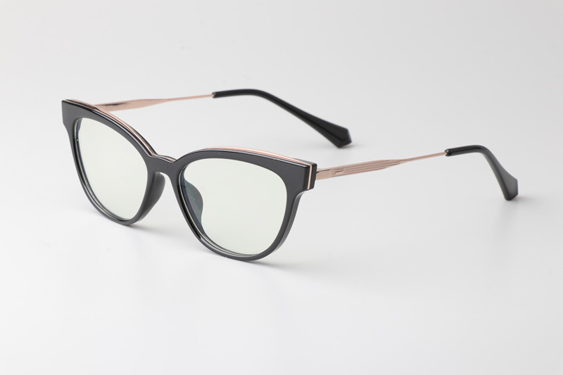 WT0836 Eyeglasses Black Gold