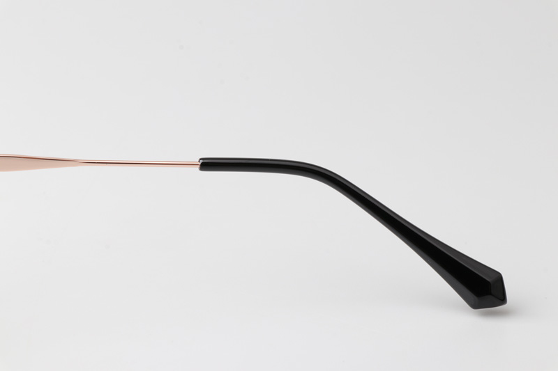 WT0836 Eyeglasses Black Gold
