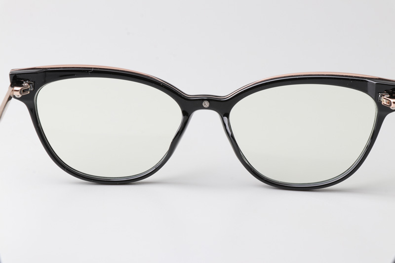 WT0836 Eyeglasses Black Gold