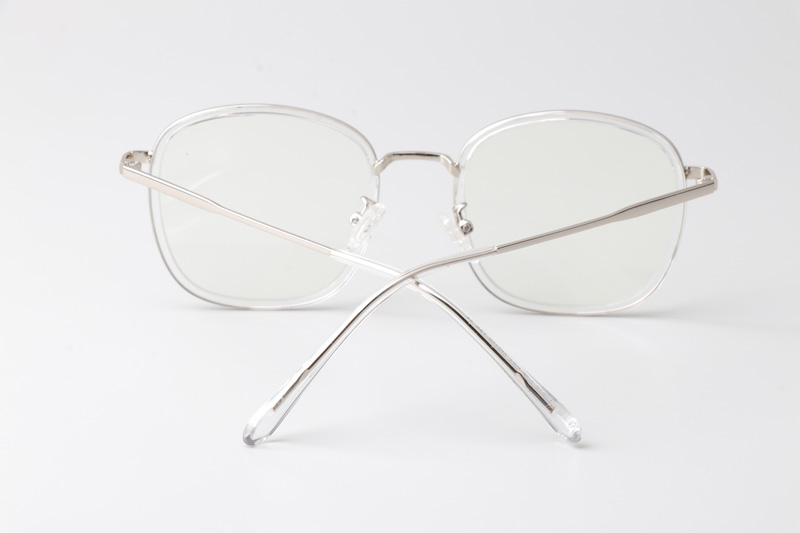 WT0846 Eyeglasses Transparent Silver
