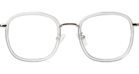 WT0846 Eyeglasses Transparent Silver