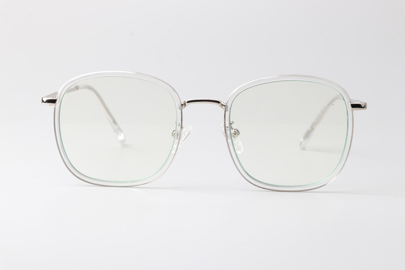 WT0846 Eyeglasses Transparent Silver