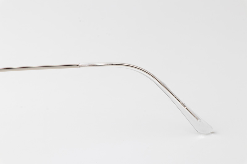 WT0846 Eyeglasses Transparent Silver