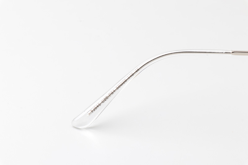 WT0846 Eyeglasses Transparent Silver