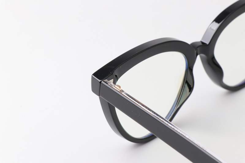 WT0905 Eyeglasses Black Gold