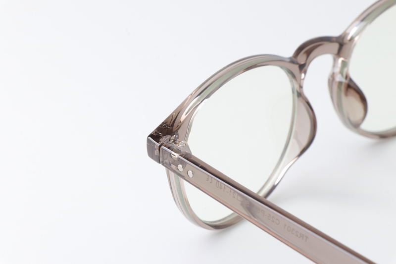 WT2301 Eyeglasses Gray Clear