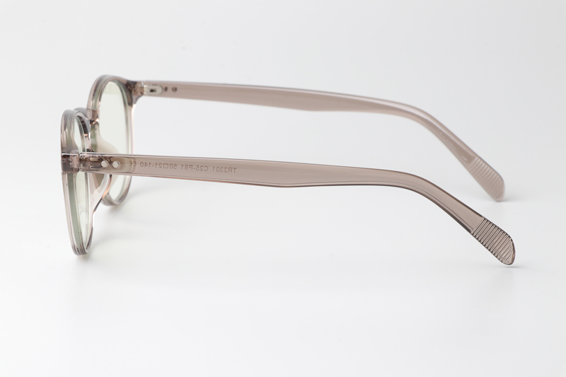 WT2301 Eyeglasses Gray Clear