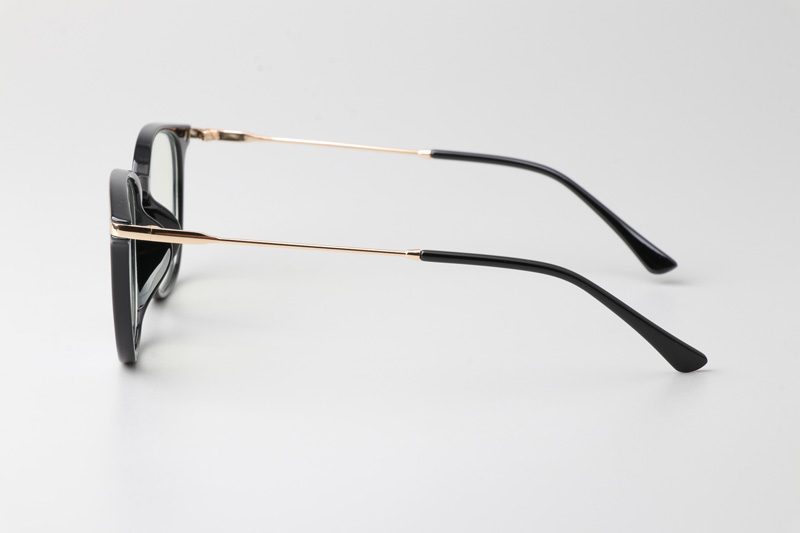 WT5008 Eyeglasses Black Gold