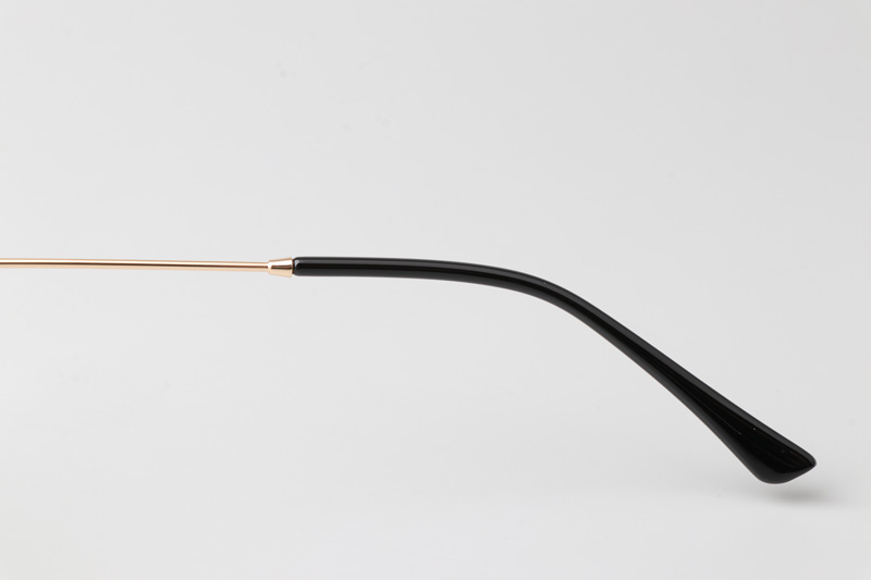 WT5008 Eyeglasses Black Gold