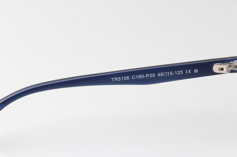 WT5106 Eyeglasses Dark Blue