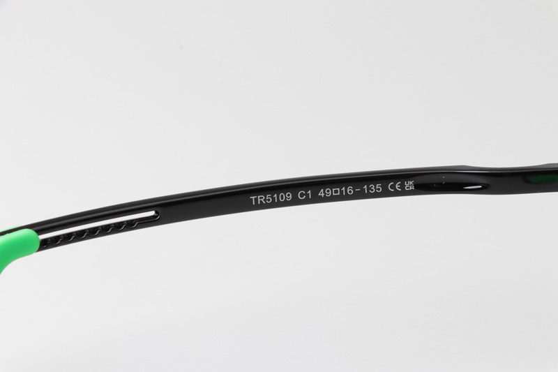 WT5109 Eyeglasses Black