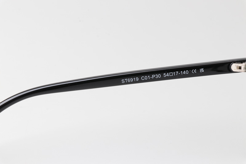 WT6919 Eyeglasses Black
