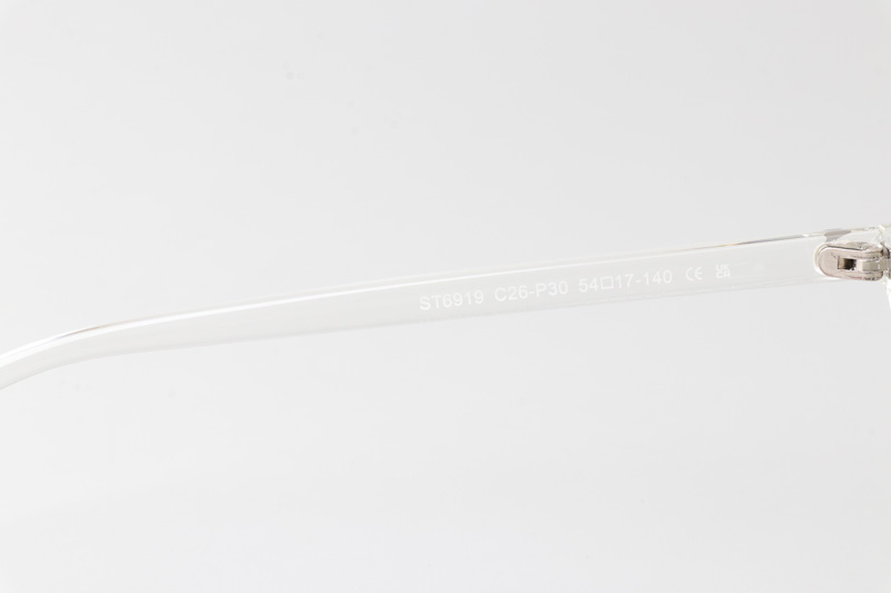 WT6919 Eyeglasses Transparent