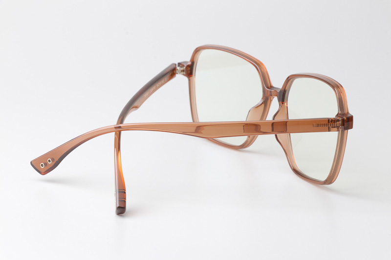 WT7601 Eyeglasses Brown Clear