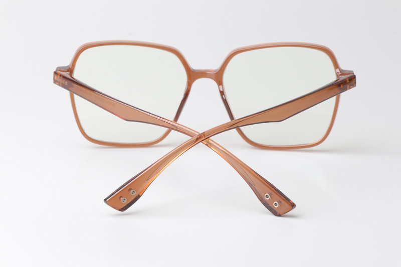 WT7601 Eyeglasses Brown Clear