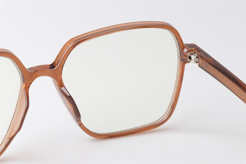 WT7601 Eyeglasses Brown Clear