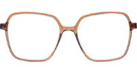 WT7601 Eyeglasses Brown Clear