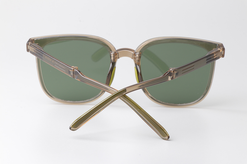 WT7901 Folding Sunglasses Gray Clear Green