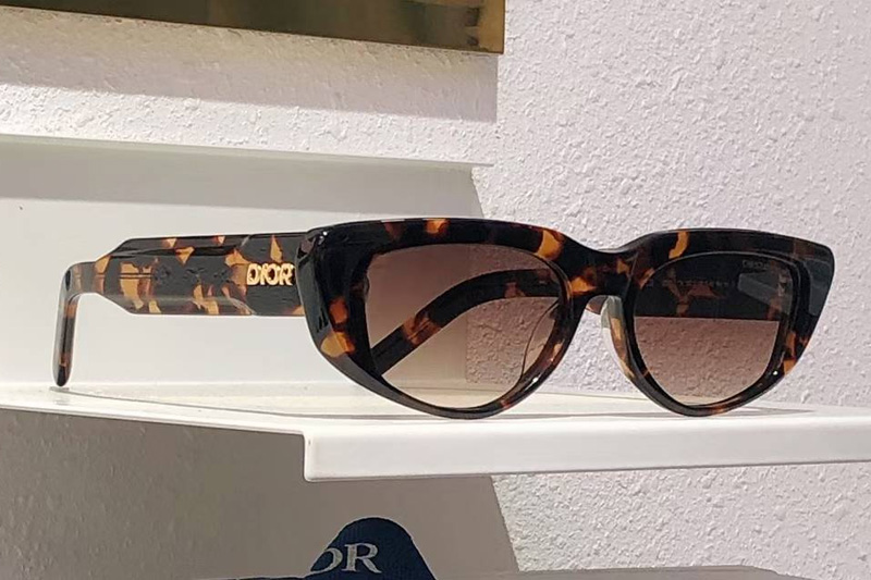 Xplorer S3I Sunglasses Tortoise Gradient Brown