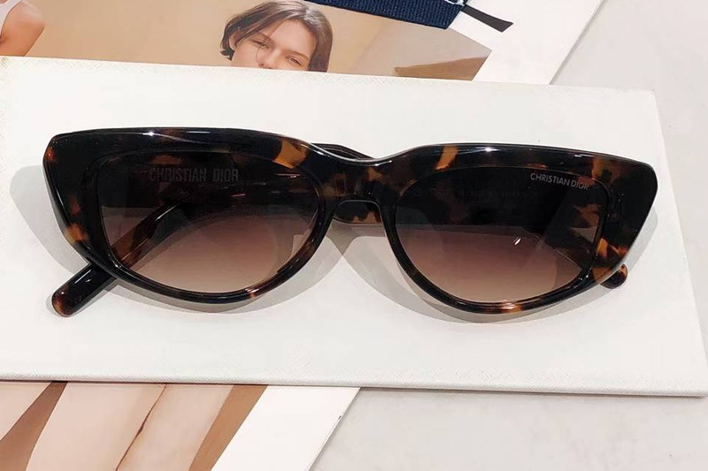 Xplorer S3I Sunglasses Tortoise Gradient Brown
