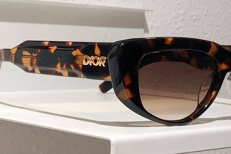 Xplorer S3I Sunglasses Tortoise Gradient Brown