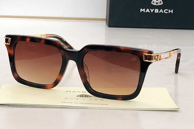 Z123 Sunglasses Tortoise Gradient Brown