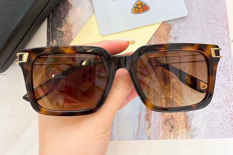 Z123 Sunglasses Tortoise Gradient Brown