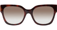Z1605E Sunglasses Tortoise Gradient Brown