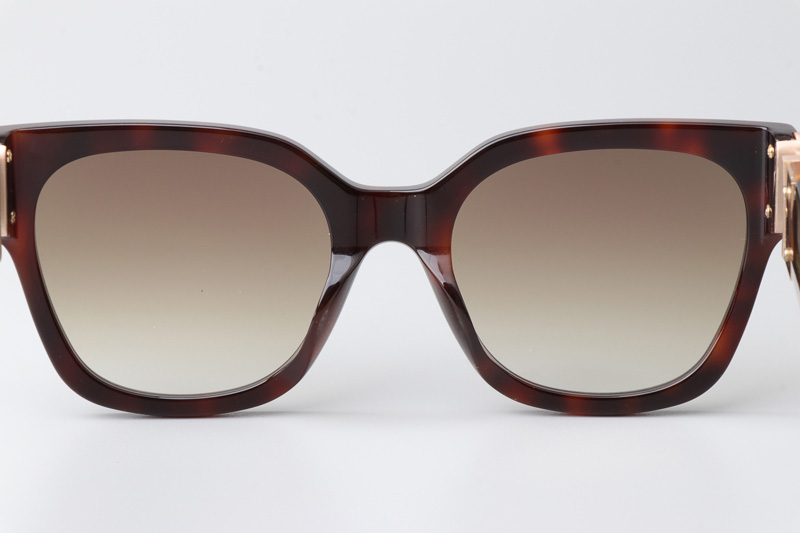 Z1605E Sunglasses Tortoise Gradient Brown