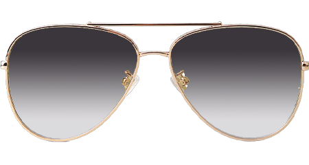 Z1620U Sunglasses Gold Gradient Gray Logo