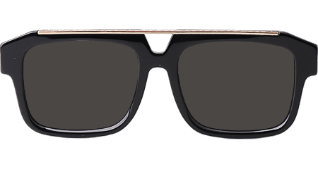 Z1801E Sunglasses Black Gold Gray