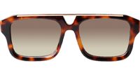 Z1801E Sunglasses Tortoise Gradient Brown